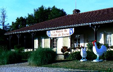 Poulet-Restaurant