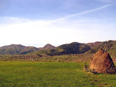 Maison de vacances �/en/au Vale (Sibiu)ou appartement ou maison de vacances