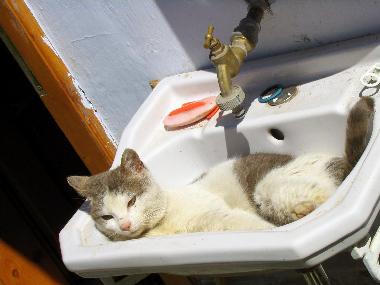 Maison de vacances �/en/au Vale (Sibiu)ou appartement ou maison de vacances