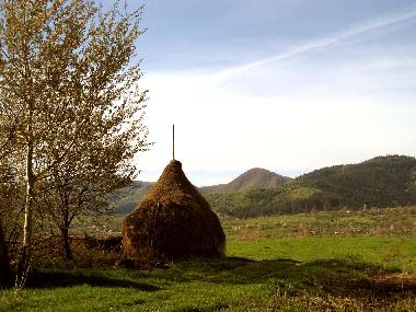 Appartement de vacances �/en/au Vale (Sibiu)ou appartement ou maison de vacances
