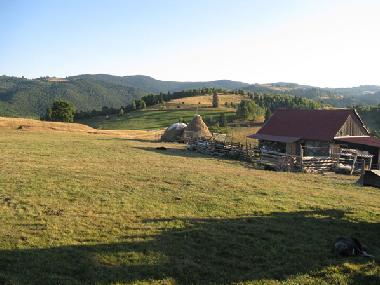 Chalet �/en/au Vale (Sibiu)ou appartement ou maison de vacances