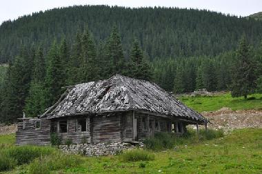 Chalet �/en/au Vale (Sibiu)ou appartement ou maison de vacances