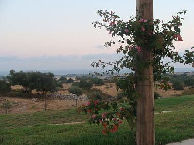 Appartement de vacances /en/au Marina di Ragusa (Ragusa)ou appartement ou maison de vacances