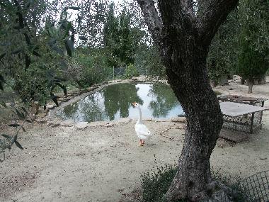 Maison de vacances �/en/au Peratallada (Girona)ou appartement ou maison de vacances