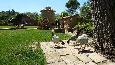 Maison de vacances �/en/au Peratallada (Girona)ou appartement ou maison de vacances