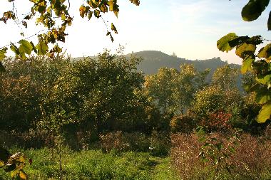 Maison de vacances �/en/au Bonvicino (Cuneo)ou appartement ou maison de vacances