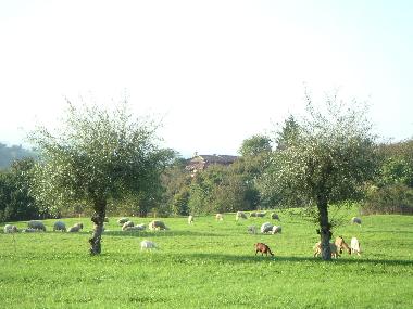 Maison de vacances �/en/au Bonvicino (Cuneo)ou appartement ou maison de vacances