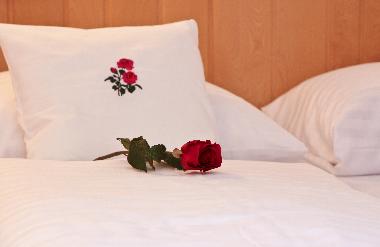 Htel /en/au Oberndorf bei Kitzbhel (Tiroler Unterland)ou appartement ou maison de vacances