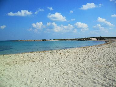 Appartement de vacances /en/au Carovigno (Brindisi)ou appartement ou maison de vacances
