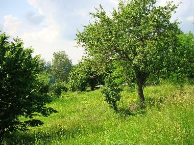 Appartement de vacances /en/au Bonvicino (Cuneo)ou appartement ou maison de vacances