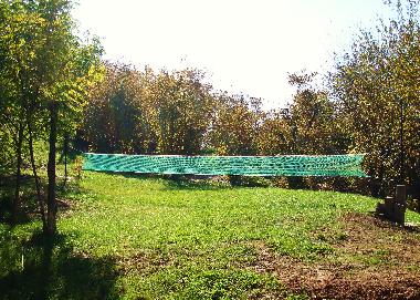 Appartement de vacances /en/au Bonvicino (Cuneo)ou appartement ou maison de vacances