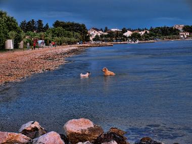 Maison de vacances /en/au Biograd na moru (Zadarska)ou appartement ou maison de vacances