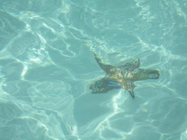 Maison de vacances /en/au Torre San Giovanni (Lecce)ou appartement ou maison de vacances