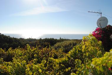 Maison de vacances /en/au Ericeira (Grande Lisboa)ou appartement ou maison de vacances