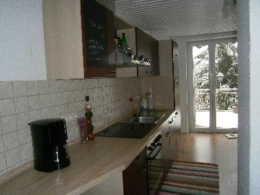 Appartement de vacances /en/au Hirschhorn Neckar (Odenwald-Bergstrae-Neckartal)ou appartement ou maison de vacances