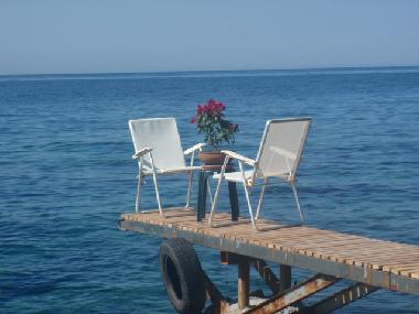 Villa /en/au achlia (Lasithi)ou appartement ou maison de vacances