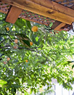 Appartement de vacances �/en/au Bat Yam (Tel Aviv)ou appartement ou maison de vacances