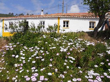 Maison de vacances /en/au Baiona (Alentejo Litoral)ou appartement ou maison de vacances
