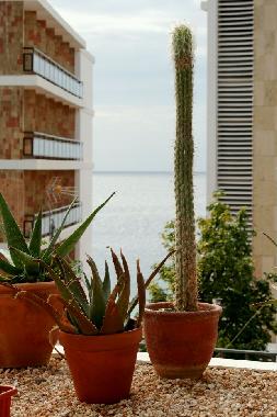 Chalet �/en/au Palma (Mallorca)ou appartement ou maison de vacances