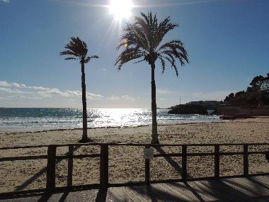 Chalet �/en/au Palma (Mallorca)ou appartement ou maison de vacances
