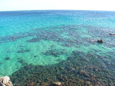 Acque cristalline lungo tutta la costa