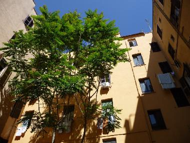 Appartement de vacances �/en/au Rome (Roma)ou appartement ou maison de vacances
