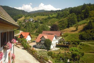 Maison de vacances /en/au Oppenau-Lierbach (Schwarzwald)ou appartement ou maison de vacances
