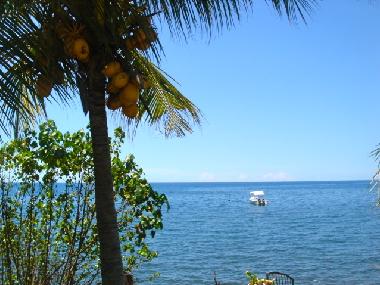 Villa �/en/au Lovina / Dencarik (Bali)ou appartement ou maison de vacances