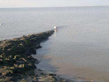 Appartement de vacances �/en/au Norddeich (Nordsee-Festland / Ostfriesland)ou appartement ou maison de vacances