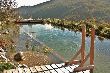 Appartement de vacances /en/au saint etienne de serres (Ardche)ou appartement ou maison de vacances