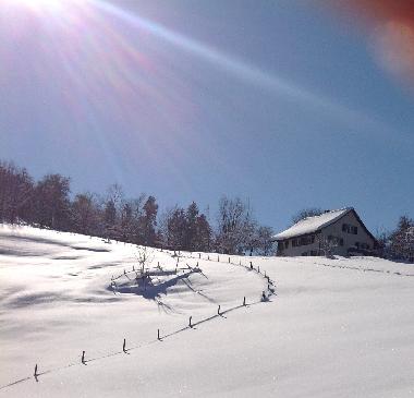 Maison de vacances �/en/au B�retswil (Z�rich)ou appartement ou maison de vacances