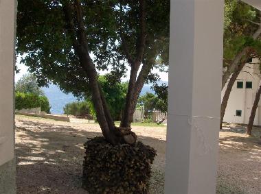 Appartement de vacances /en/au Mimice (Splitsko-Dalmatinska)ou appartement ou maison de vacances
