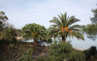 Villa �/en/au Vourvourou (Chalkidiki)ou appartement ou maison de vacances