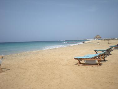 Appartement de vacances �/en/au Santa Maria (Sal)ou appartement ou maison de vacances