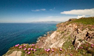 Appartement de vacances �/en/au Portoscuso (Carbonia-Iglesias)ou appartement ou maison de vacances