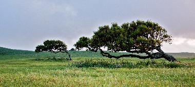 Appartement de vacances �/en/au Portoscuso (Carbonia-Iglesias)ou appartement ou maison de vacances