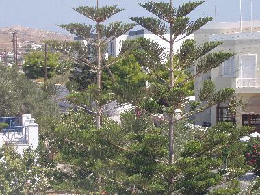 Appartement de vacances /en/au Megas gialos (Kyklades)ou appartement ou maison de vacances