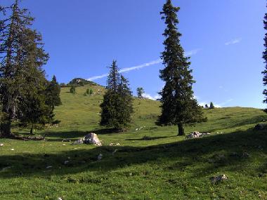 Maison de vacances /en/au Ntsch (Oberkrnten)ou appartement ou maison de vacances
