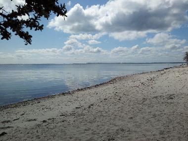 Maison de vacances �/en/au Faxe Ladeplads (Storstrom)ou appartement ou maison de vacances