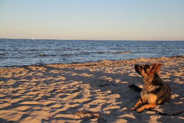 Appartement de vacances /en/au Oersberg (Ostsee-Festland)ou appartement ou maison de vacances