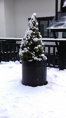 Appartement de vacances /en/au Sierra Nevada (Granada)ou appartement ou maison de vacances