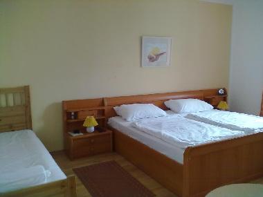 Appartement de vacances /en/au Tisno- (Sibensko-Kninska)ou appartement ou maison de vacances