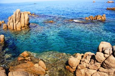 Appartement de vacances �/en/au Trinit� D