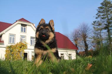 Appartement de vacances �/en/au Oersberg (Ostsee-Festland)ou appartement ou maison de vacances