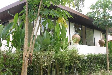 Maison de vacances /en/au Koh Samui Suratthani (Surat Thani)ou appartement ou maison de vacances