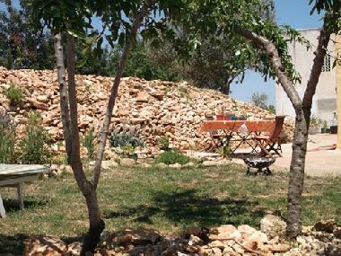 Appartement de vacances �/en/au Benicarl� (Castell�n / Castell�)ou appartement ou maison de vacances