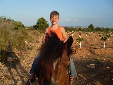 Appartement de vacances �/en/au Benicarl� (Castell�n / Castell�)ou appartement ou maison de vacances