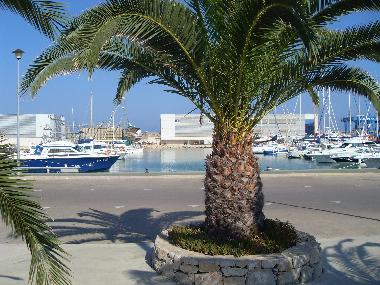 Appartement de vacances �/en/au Benicarl� (Castell�n / Castell�)ou appartement ou maison de vacances