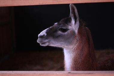 Appartement de vacances �/en/au Oersberg (Ostsee-Festland)ou appartement ou maison de vacances