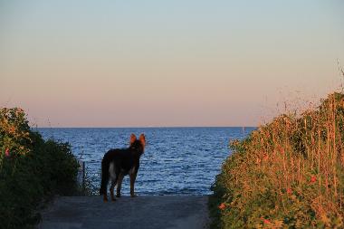 Appartement de vacances �/en/au Oersberg (Ostsee-Festland)ou appartement ou maison de vacances